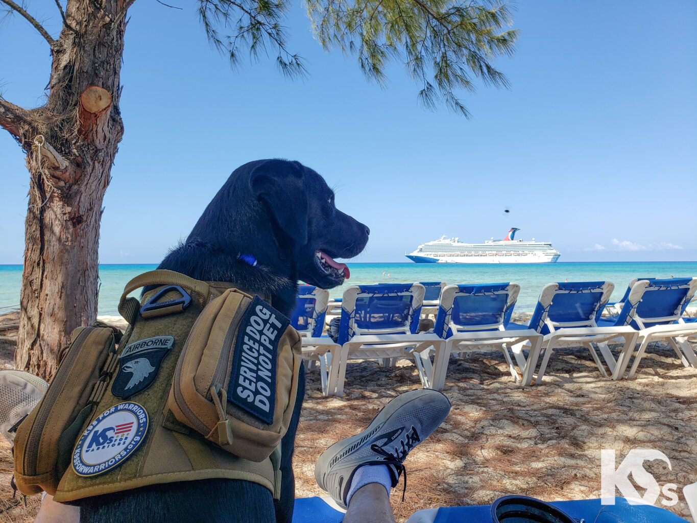 Thomas and Titan the Service Dog Get a New Leash on Life Atlas Air Worldwide